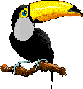 Tucan-10.gif