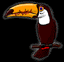 Tucan-11.gif
