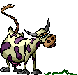 Vacas-01.gif