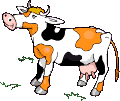 Vacas-101.gif
