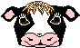 Vacas-24.gif
