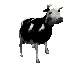 Vacas-48.gif