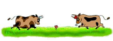 Vacas-58.gif