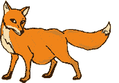 Zorro-02.gif