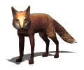 Zorro-08.gif