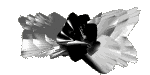 Arte-abstracto-01.gif