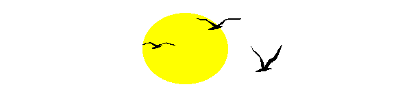 Sol-14.gif