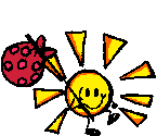 Sol-56.gif