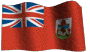 Banderas-117.gif