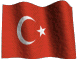 Banderas-130.gif