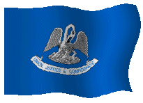 Bandera-de-Louisiana.gif