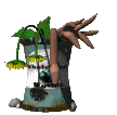Jardin-13.gif