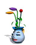Jarros-01.gif