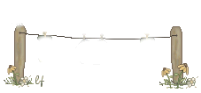 Tendedero-02.gif
