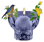 Velas-02.gif