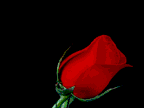 Feliz-Dia-de-los-enamorados-02.gif