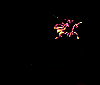 Fuegos-artificiales-23.gif