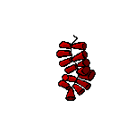 Fuegos-artificiales-53.gif