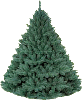 Navidad-140.gif