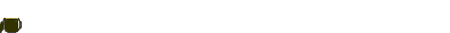San-Patricio-46.gif