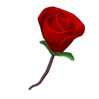 Sant-Jordi-14.gif