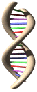 ADN-01.gif