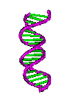 ADN-02.gif