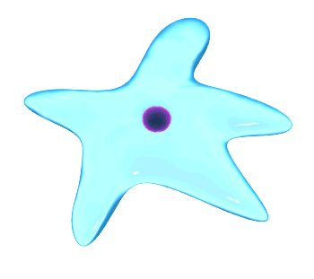 Ameba-01.gif