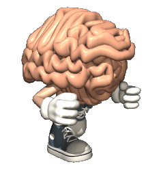Anatomia-03.gif
