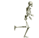 Anatomia-06.gif