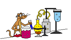 Experimentos-05.gif