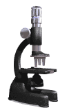 Microscopios-02.gif