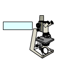 Microscopios-03.gif