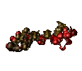 Moleculas-09.gif
