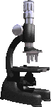 Quimica-18.gif