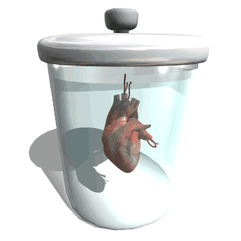 Utiles-de-laboratorio-06.gif