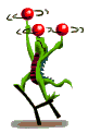 Animales-circenses-02.gif