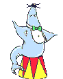Foca-malabaristas-05.gif