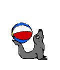 Foca-malabaristas-06.gif