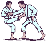 Artes-Marciales-48.gif