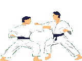 Artes-Marciales-54.gif