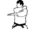 Artes-Marciales-66.gif