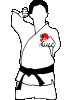 Artes-Marciales-68.gif