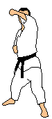 Artes-Marciales-74.gif