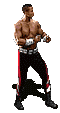 Artes-Marciales-85.gif