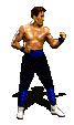Artes-Marciales-87.gif