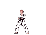 Artes-Marciales-92.gif