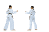 Artes-Marciales-93.gif