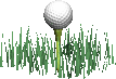 Golf-32.gif
