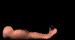 Halterofilia-05.gif